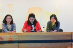 ΕΚΔΗΛΩΣΗ-ΦΩΝΗΣ-2013-043